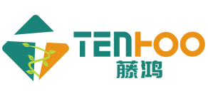 TenHoo International Business Service